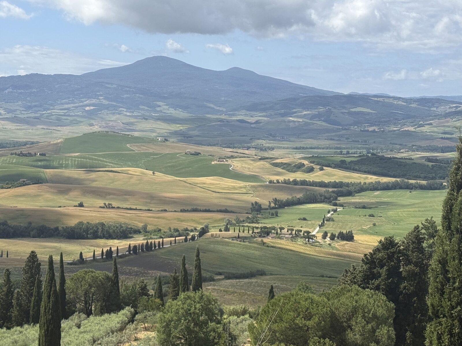 Val d'Orcia landscape near Pienza